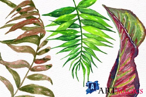 Tropical watercolor leaves - 458422
