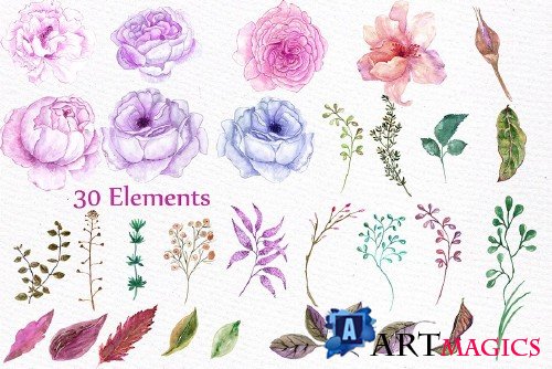 Watercolor peonies flowers clipart - 508430