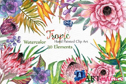 Watercolor Tropic clipart - 527740