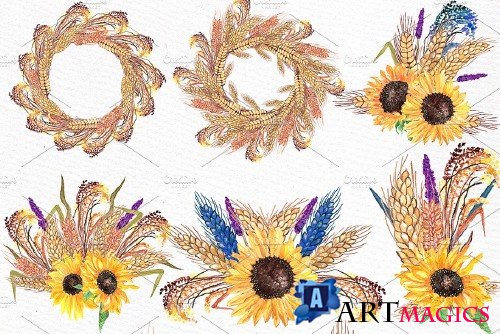 Watercolor poppies clipart - 583743