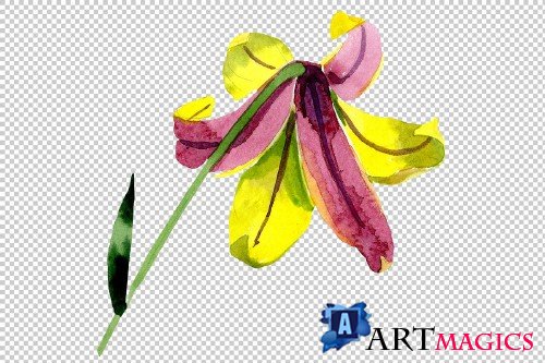 Wildflower lemon lily PNG watercolor - 3050355