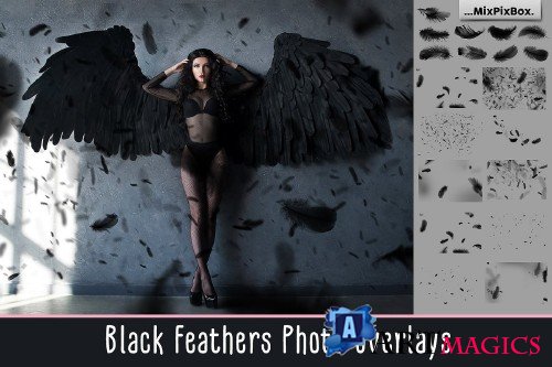 Black Feathers Overlays - 3034616
