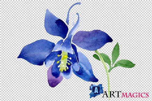 Flowers set PNG watercolor - 3050283