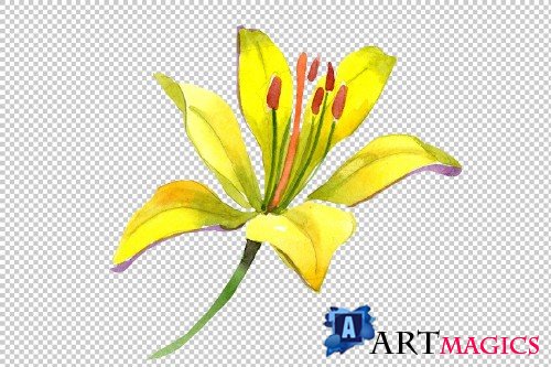 Wildflower lemon lily PNG watercolor - 3050355