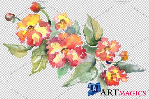 Bouquet Hoverla Watercolor png - 3642601