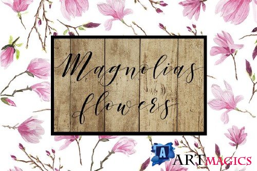 Magnolias Watercolor flowers - 1553277
