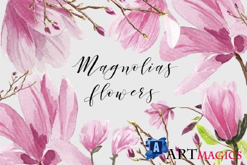 Magnolias Watercolor flowers - 1553277