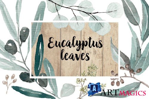 Eucalyptus Watercolor Set - 1495092