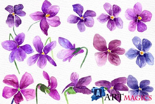 Watercolor violet flowers clipart - 636896