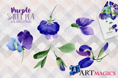 Purple sweet pea PNG watercolor set - 3058487