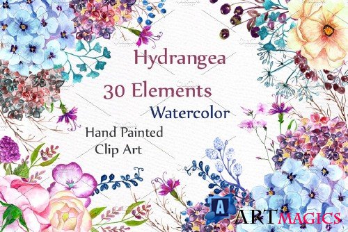 Watercolor hydrangea flowers clipart - 636880