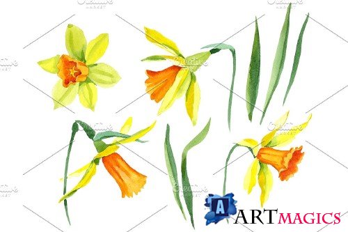 Narcissus lemon flower PNG set - 3058330