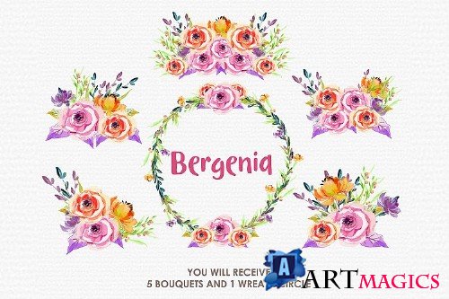 Bergenia - Digital Watercolor Floral Flower Style Clipart - 238933