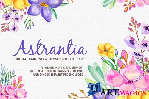 Astrantia - Digital Watercolor Floral Flower Style Clipart - 238942