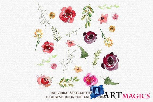 Allysum - Digital Watercolor Floral Flower Style Clipart - 238934