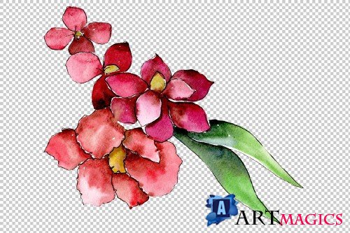 Bouquet of tropical colorful flower - 3079223