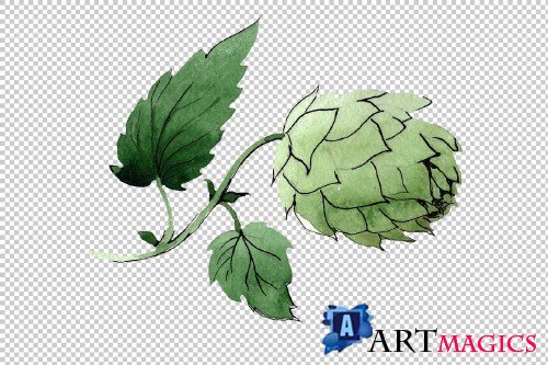 Green watercolor hops png set - 3079104