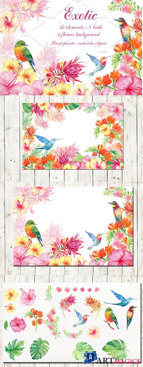 set of exotic flowers and birds - 1374110