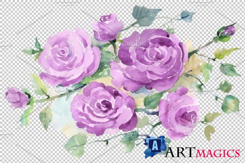 Bouquet with purple roses Watercolor - 3667126