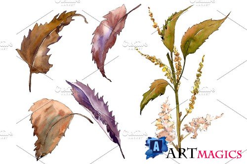 Sweet chestnut PNG watercolor leaves - 3094944