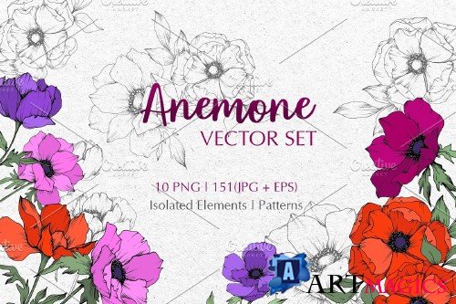 Anemone Vector Set - 3661818