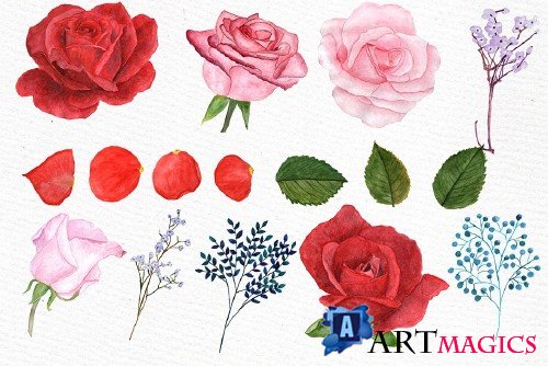 Watercolor Roses Clipart - 987795