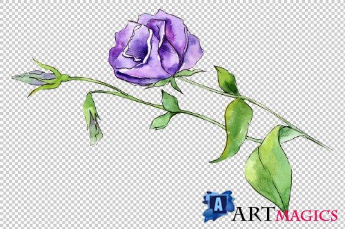 Blue and purple eustoma PNG - 3087168
