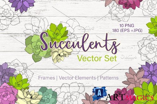 Succulents Vector Set - 3661477