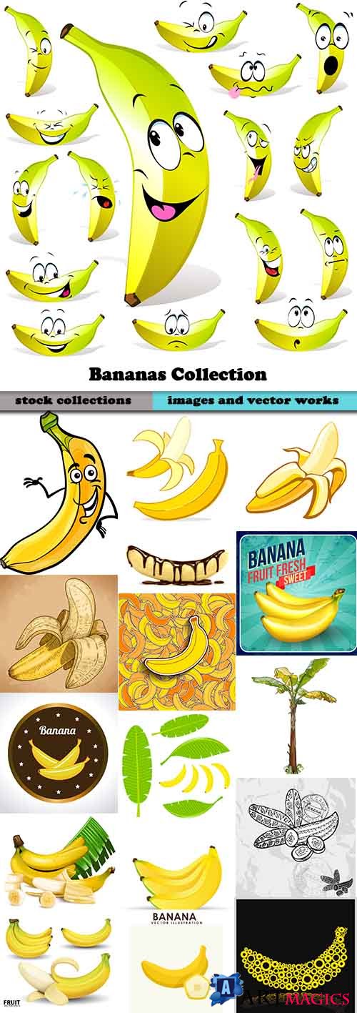 Bananas Collection - Vector Stock