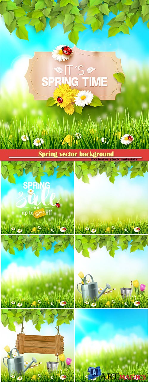 Spring vector background with green grass and flowers