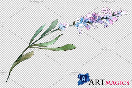 Bouquet of idyll lavender Watercolor - 3676026