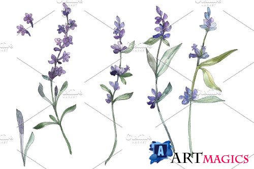 Bouquet summer breeze lavender - 3676055