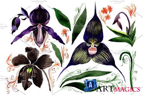 Orchid black Watercolor png - 3681458