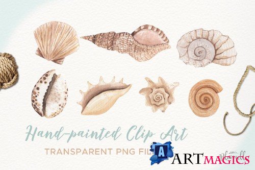 Watercolor Sea Shells Clipart Set - 3609675