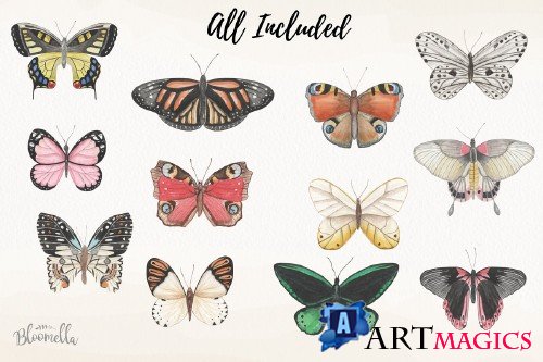 Watercolor Butterfly Clipart Set - 3676559