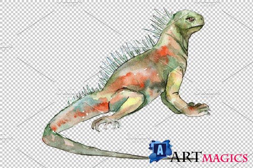 Iguana-2 Watercolor png - 3691366