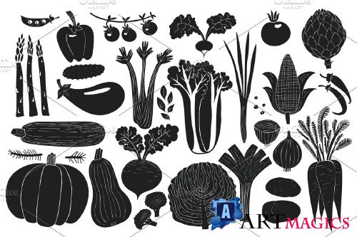 Vegetables Vector Collection - 3509708