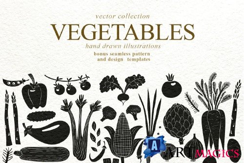 Vegetables Vector Collection - 3509708