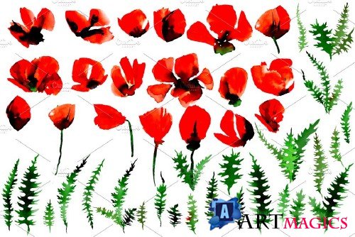 Poppy flowers watercolor set - 1692650