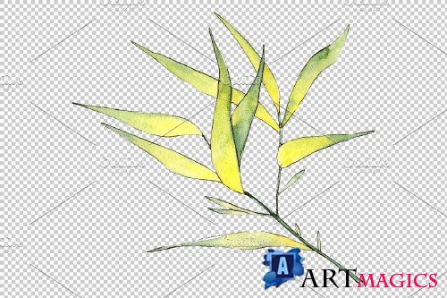 Bamboo watercolor product png - 3694977