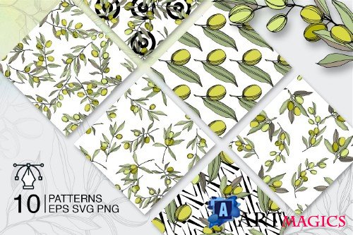 Olives vector EPS watercolor set - 3095353