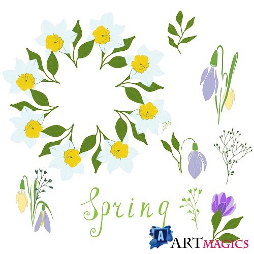 Daffodils,snowdrops, Stylized Herbs