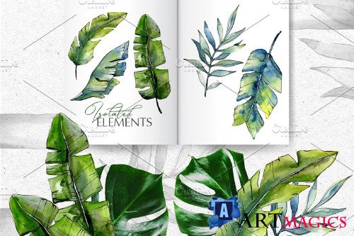 Tropical forest Watercolor png - 3711476