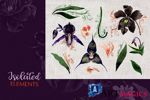 Orchid Black Watercolor Png - 248424