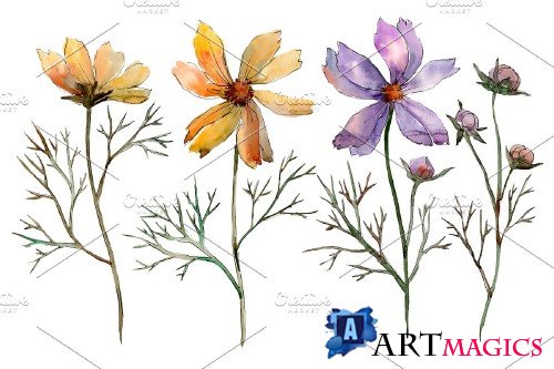 Cosmos flower PNG watercolor set - 3100218