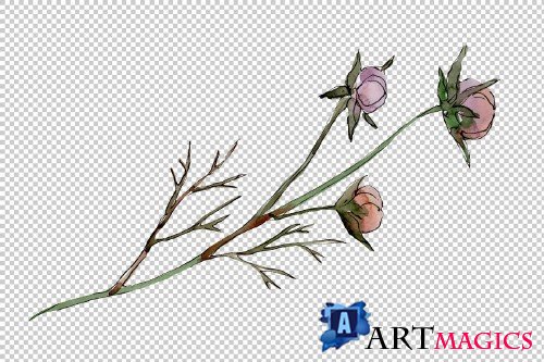 Cosmos flower PNG watercolor set - 3100218