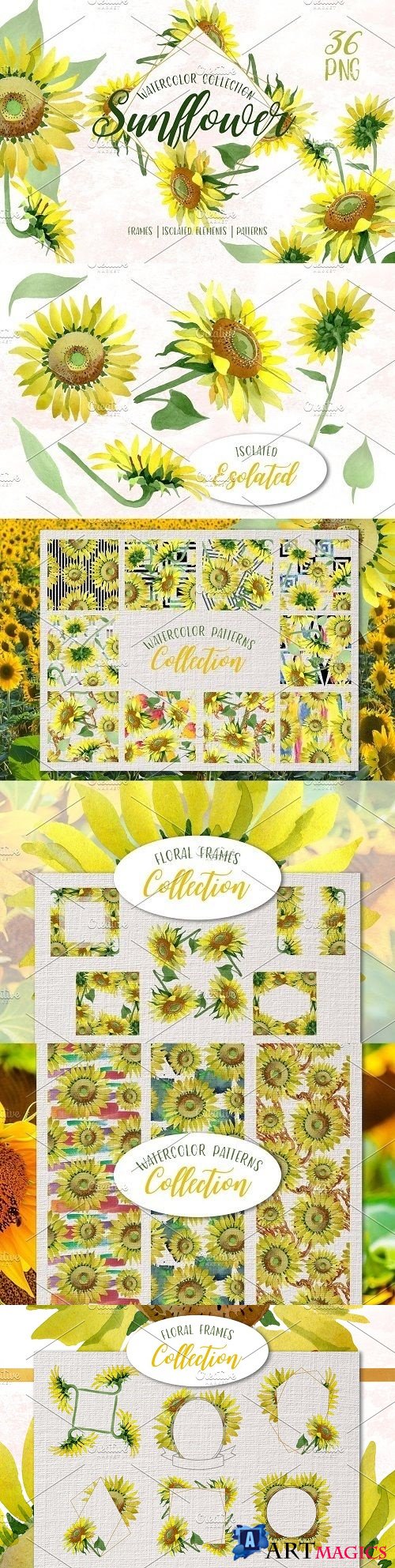 Sunflower Yellow Watercolor png - 3724215