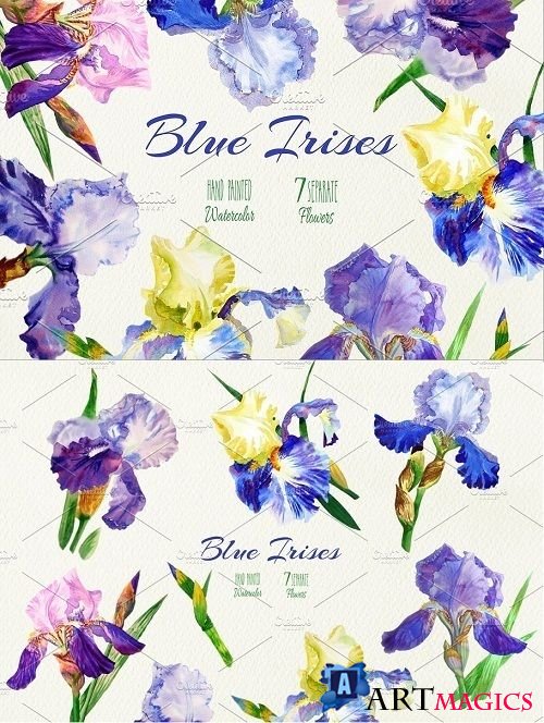 Blue Irises. Watercolor Clip Art - 522859