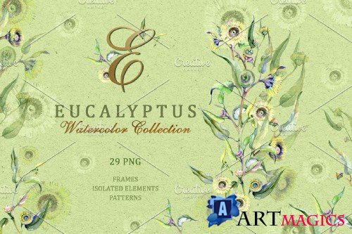 Eucalyptus Watercolor png - 3728302