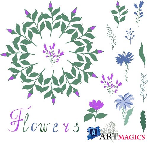 Floral Elements for Your Design on White